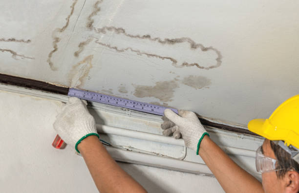 Reliable Water Damage contractor in Riverview, MI by Water Damage Irwin